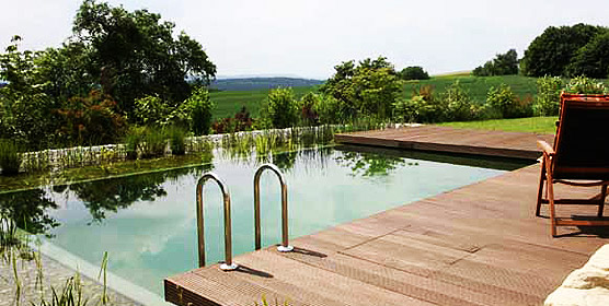 Инструкция по уходу за прудом